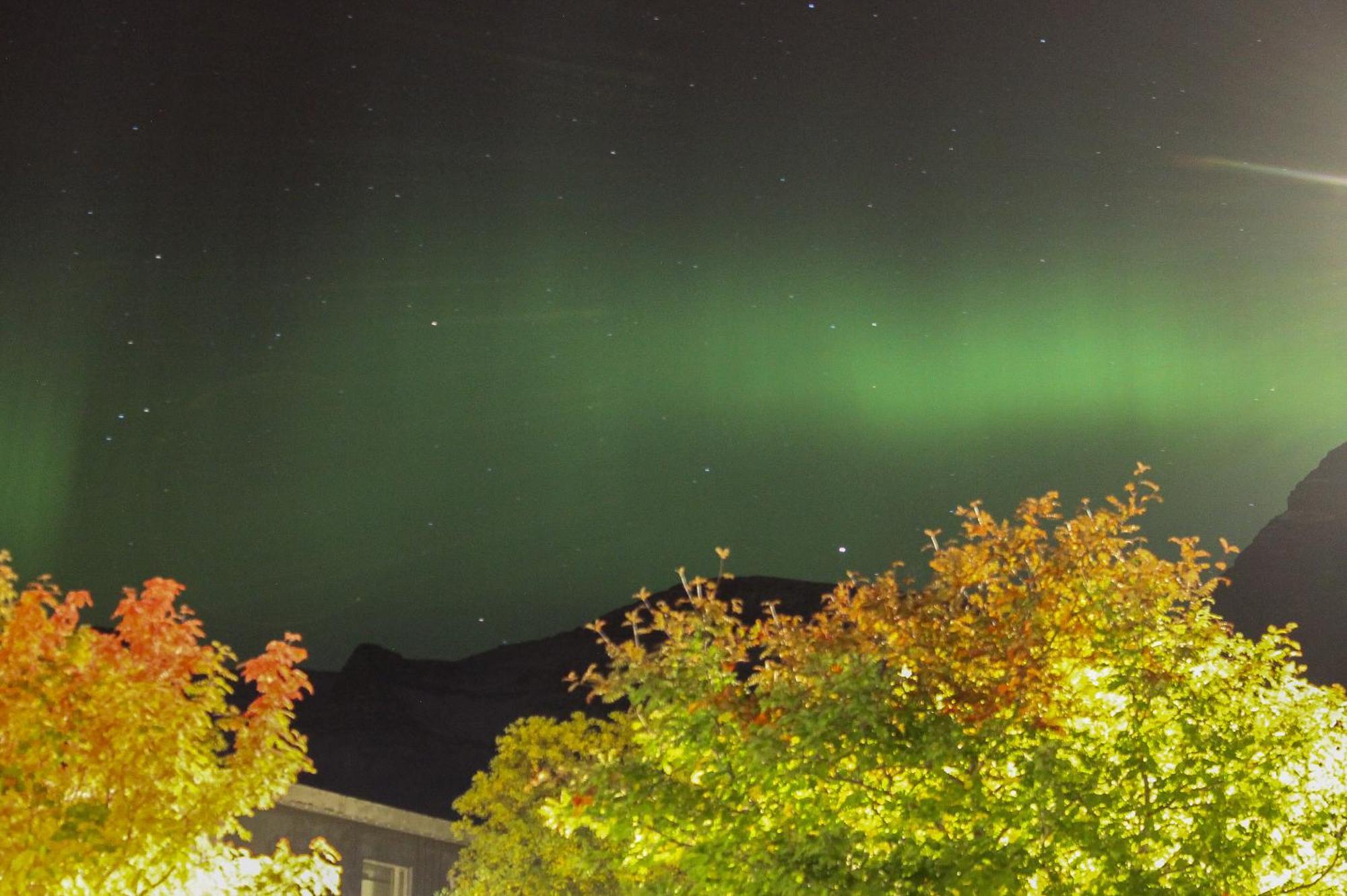 Hotel Austur Reydarfjordur Exteriör bild